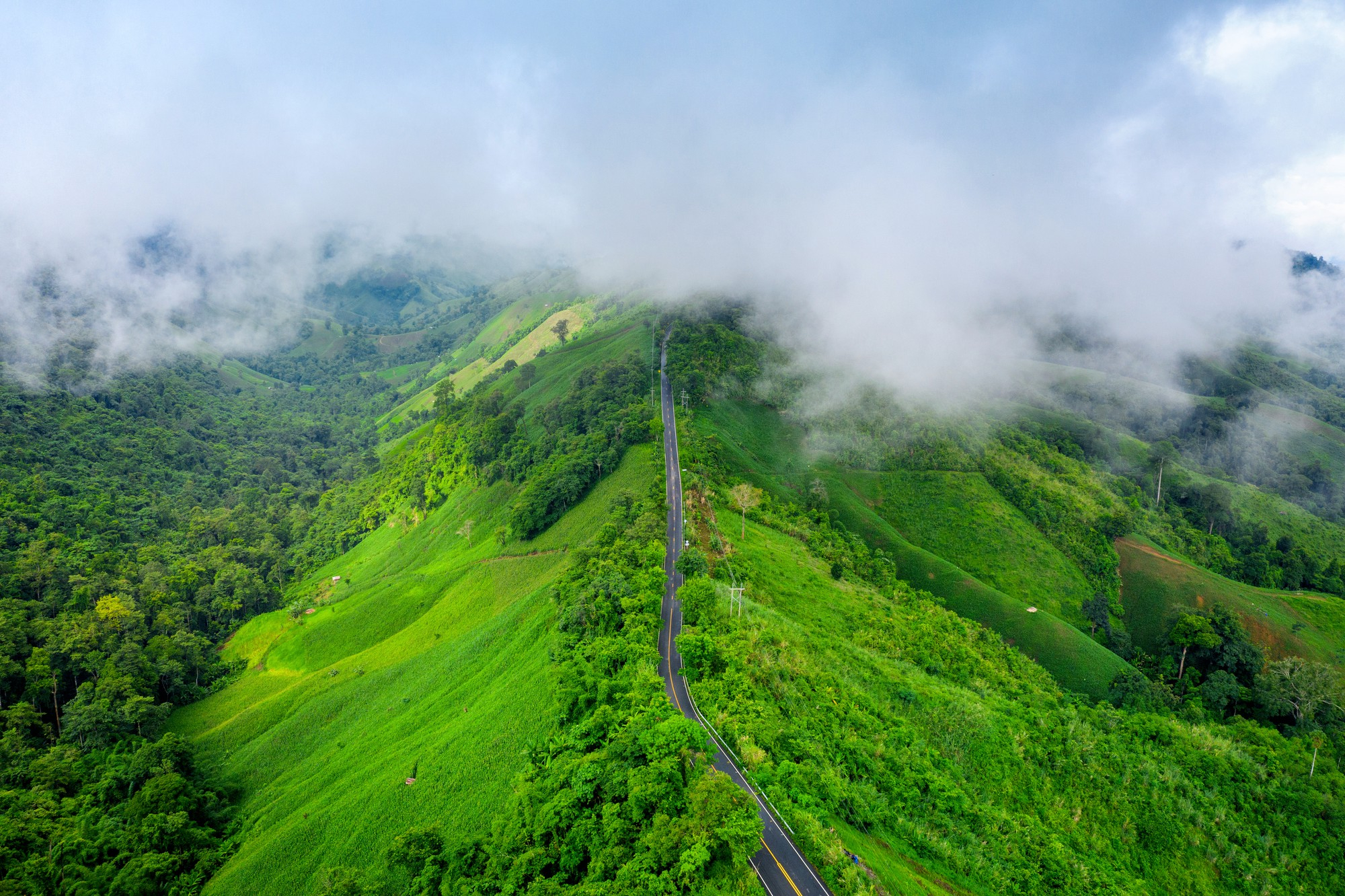 Munnar Tour Packages